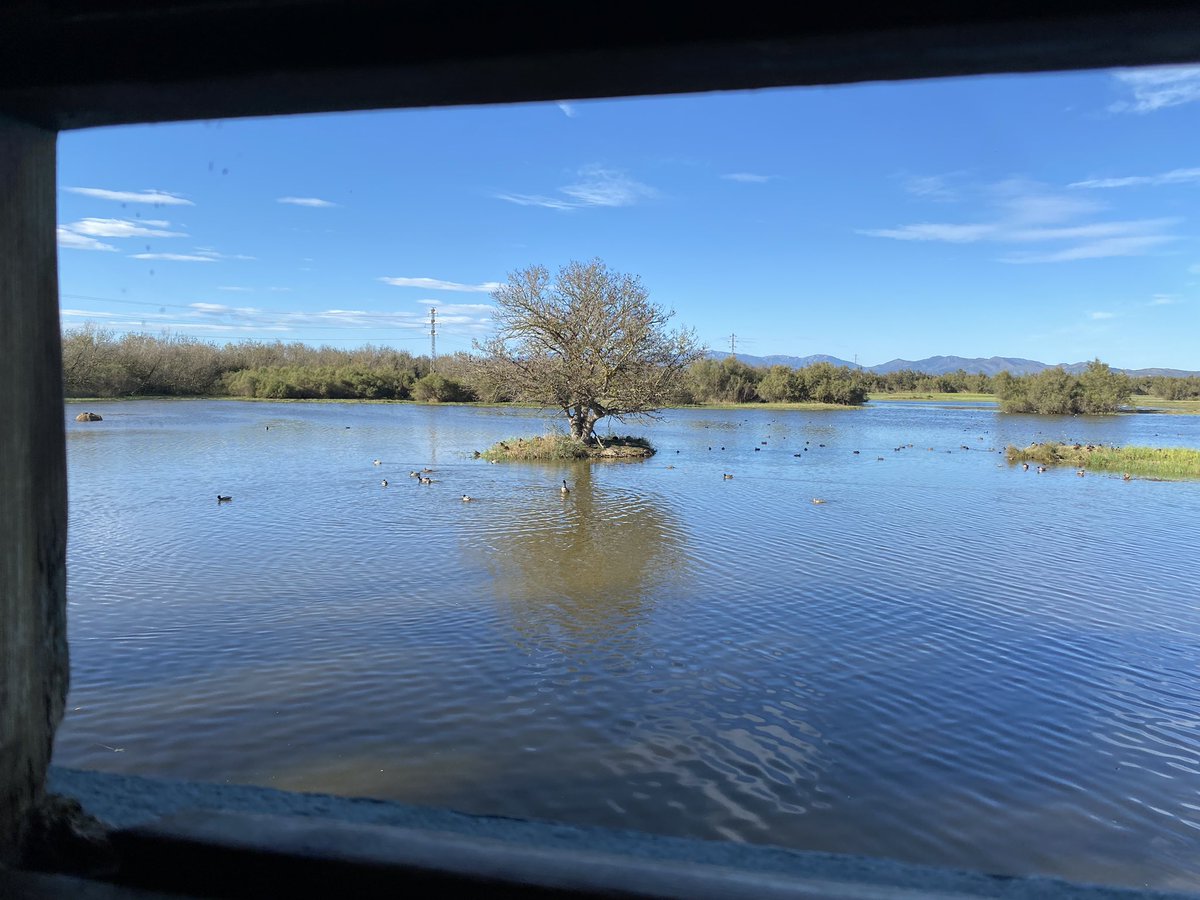 Pere Alzina tweet media