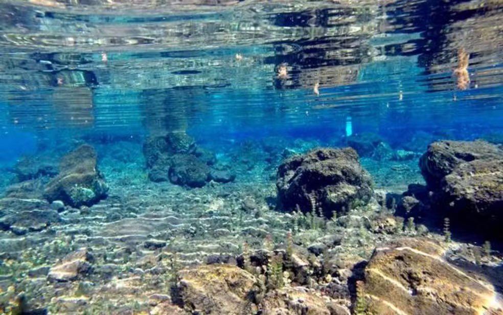 g1goias's tweet image. Lagoa Santa: conheça a cidade de Goiás que é conhecida pelas águas termais e medicinais

==&amp;gt; glo.bo/3A6HHUT
#g1go #turismo #lagoasanta #aguastermais