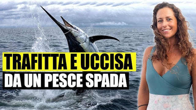 viaggrego's tweet photo. L' #Influencer e #Surfista #Italiana #GiuliaManfrini, #Muore #Infilzata al Petto da un #PesceSpada. E pensare che un volta i #Surfisti temevano gli #Squali ! https://t.co/5bHNnhpIUc https://t.co/ODnBcRUd9q