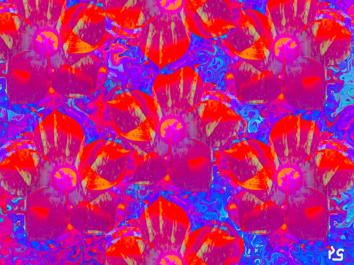 PhilGennusoArts's tweet photo. Sea Roses
Phil Gennuso Arts
floating sea roses
misty blue horizons
places where dreams are born
#SeaRose #Haiku #PhilGennusoArts #Dreams #Nature #GraphicArts https://t.co/aQUmGdYcJ4