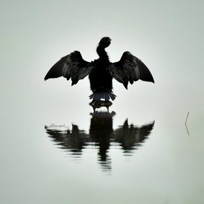 Vatann tweet media