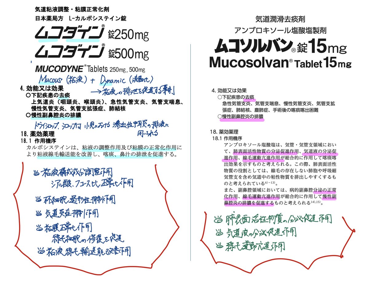 カルボ システイン 効果
