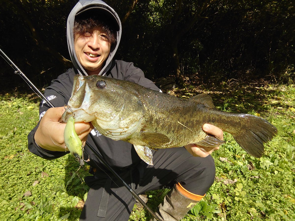 day_ero's tweet image. 食欲の秋、バイブレーションの秋ってことでDIVISEVIBRATIONで1本！この急激に冷え込んだ初日の朝大好きです👍
#DIVISER
#DEERAKEORDER
#DIVISEVIBRATION
#バス釣り
#バスフィッシング
#PR