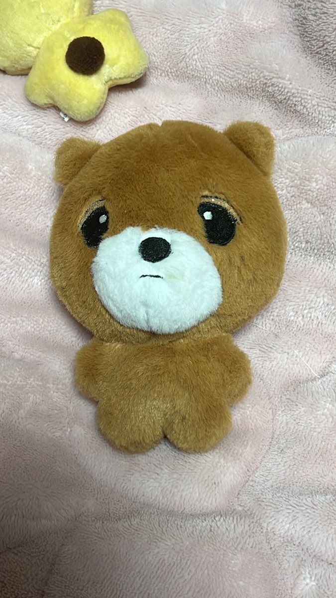 dZzadIi's tweet photo. 엔시티 해찬 인형 이동배 동배 양도

1.7

코옆에 약간 얼룩..
외출 목욕 x 특전 빅스티커 있음 https://t.co/x9TYTvKhBn