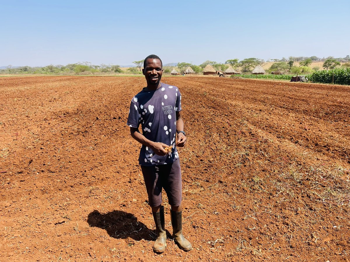 A beautiful farming story of a young farmer called Emmanuel. We had a great moment of discussing the beauty of SC 719 and SC 727 as part of his Green mealies program. We discussed areas that need attention, polishing. Continuously improvement is the goal.I was impressed with his
