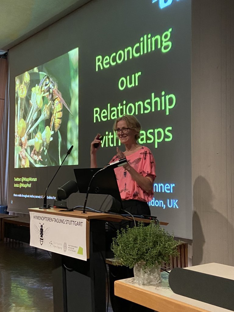 WaspWoman's tweet image. Thank you #Hymenopteren-Tagung #Hymi24 for inviting me to talk at your wonderful conference @SMNStuttgart! And to Dominik Schmid, Buchhandlung Brucker, for bringing German &amp;amp; English copies of #EndlessForms. @HarperCollinsDe @WMCollinsBooks
@arabellapike @zcosini @janklowUK