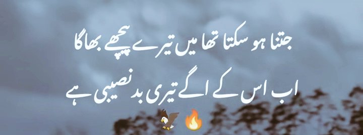 Azfar Shaikh tweet media