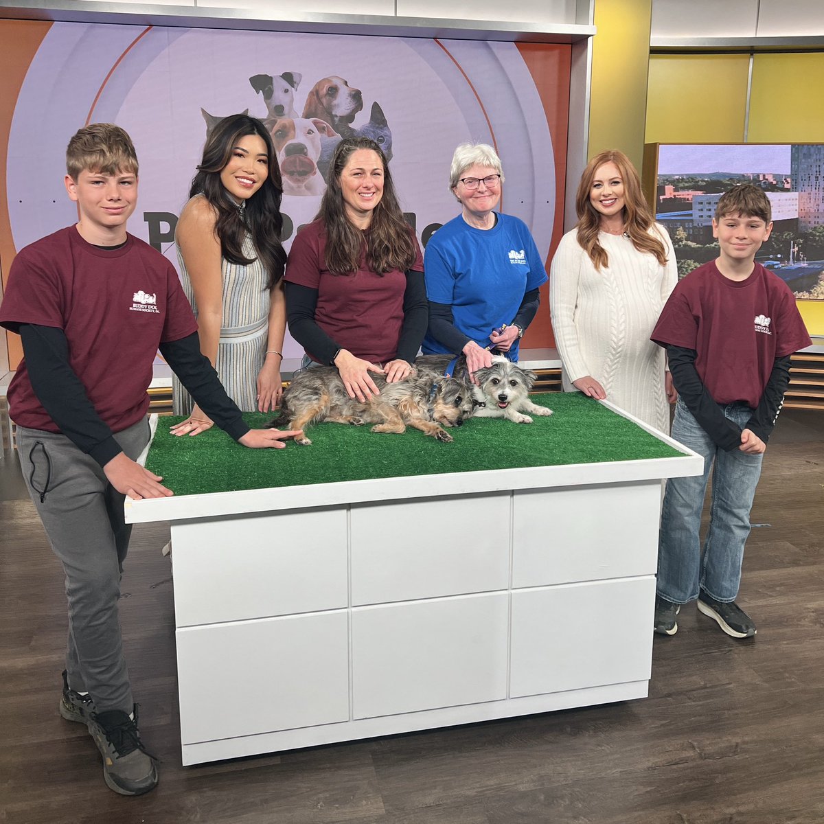 Tiffany Chan (@tiffanywbz) on Twitter photo Can’t wait for you to meet these bonded pups from Buddy Dog Humane Society! #PetParade is coming up on <a href="/wbz/">WBZ | CBS News Boston</a> at 7:20A 🐶
<a href="/AnnaMeiler/">Anna Meiler</a> Can’t wait for you to meet these bonded pups from Buddy Dog Humane Society! #PetParade is coming up on <a href="/wbz/">WBZ | CBS News Boston</a> at 7:20A 🐶
<a href="/AnnaMeiler/">Anna Meiler</a>
