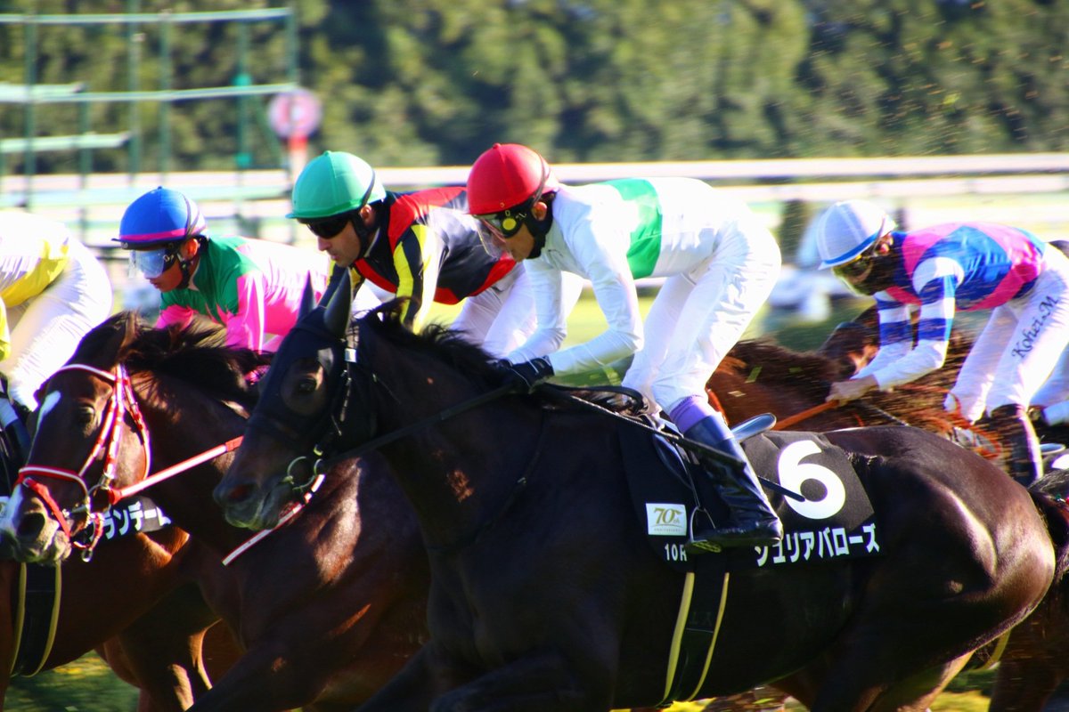 LrbkzrsZ's tweet image. #ジュリアバローズ　#武豊　#上村洋行
#菊花賞　#京都競馬場