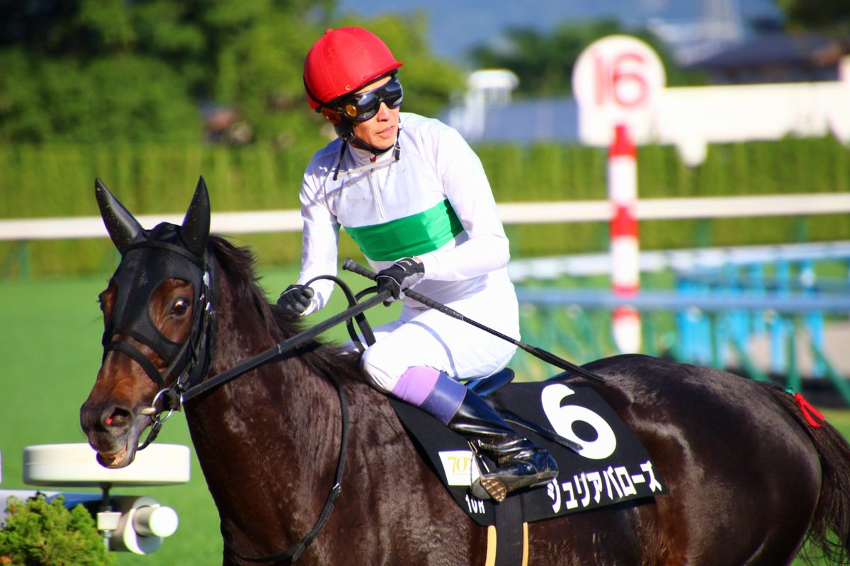LrbkzrsZ's tweet image. #ジュリアバローズ　#武豊　#上村洋行
#菊花賞　#京都競馬場