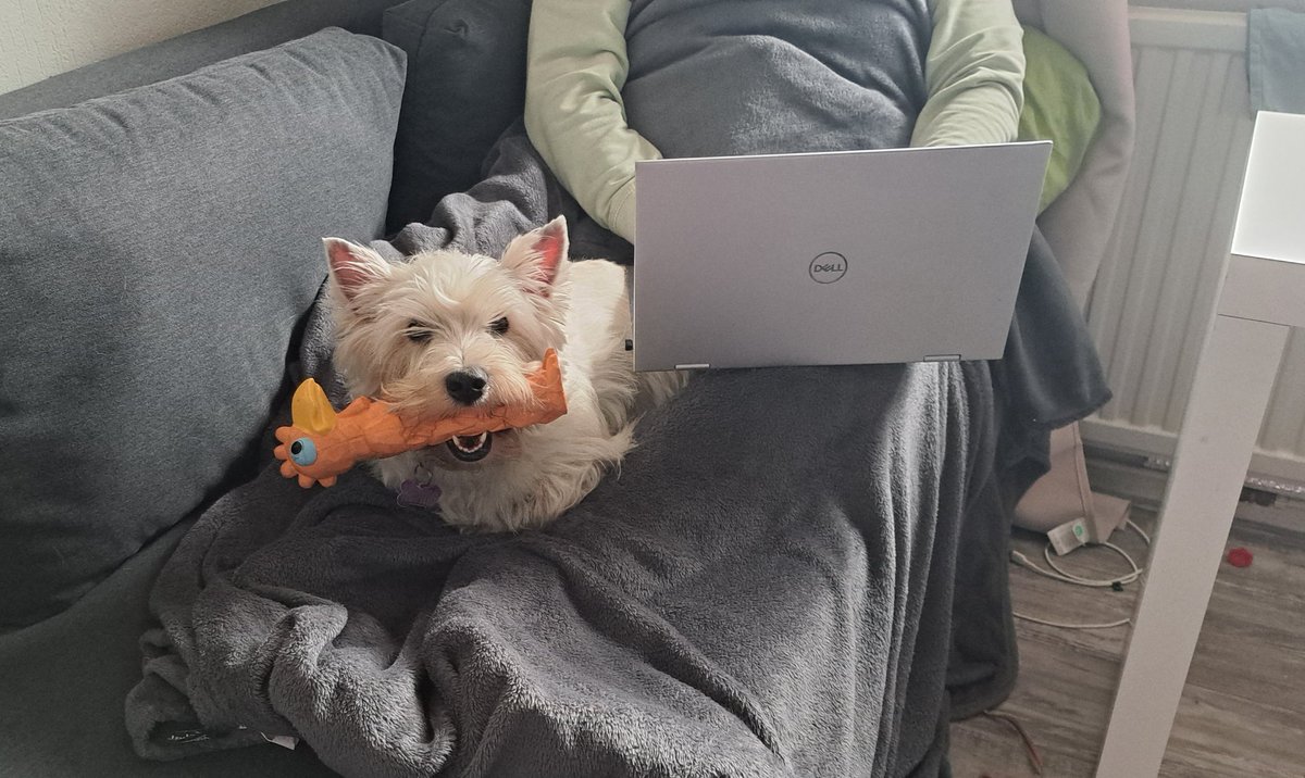 SaraT_Velasquez's tweet image. So glad my weekend working buddy is up for the challenge!
