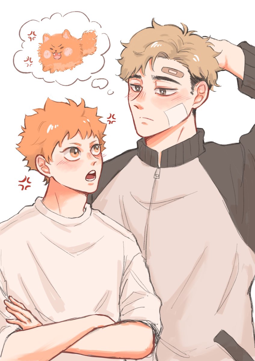 อย่าให้มีครั้งที่ 2 #haikyuu #hinatashoyo