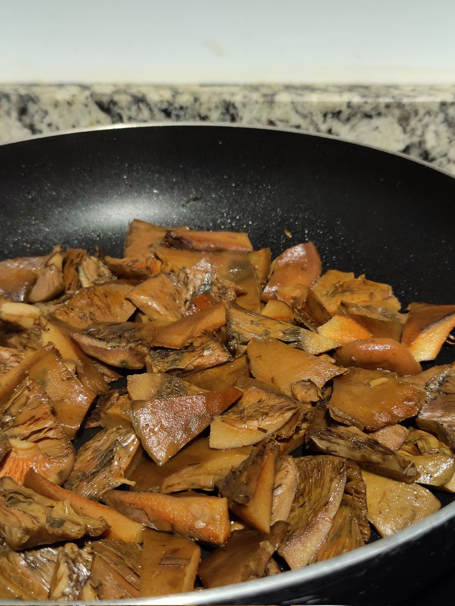 ▪️CoraLine▪️ tweet media