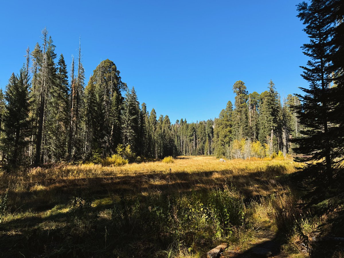 Chloe Jennett tweet media