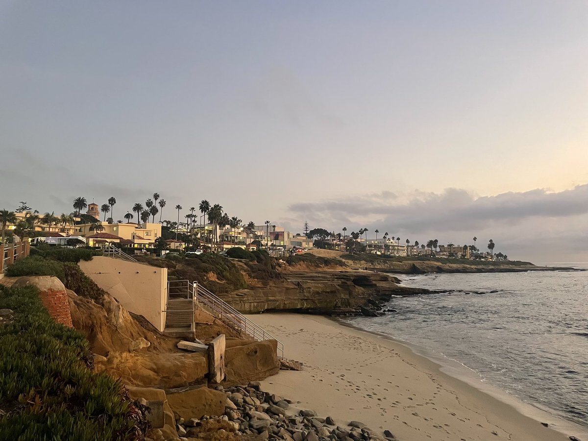 shawn chain tweet media