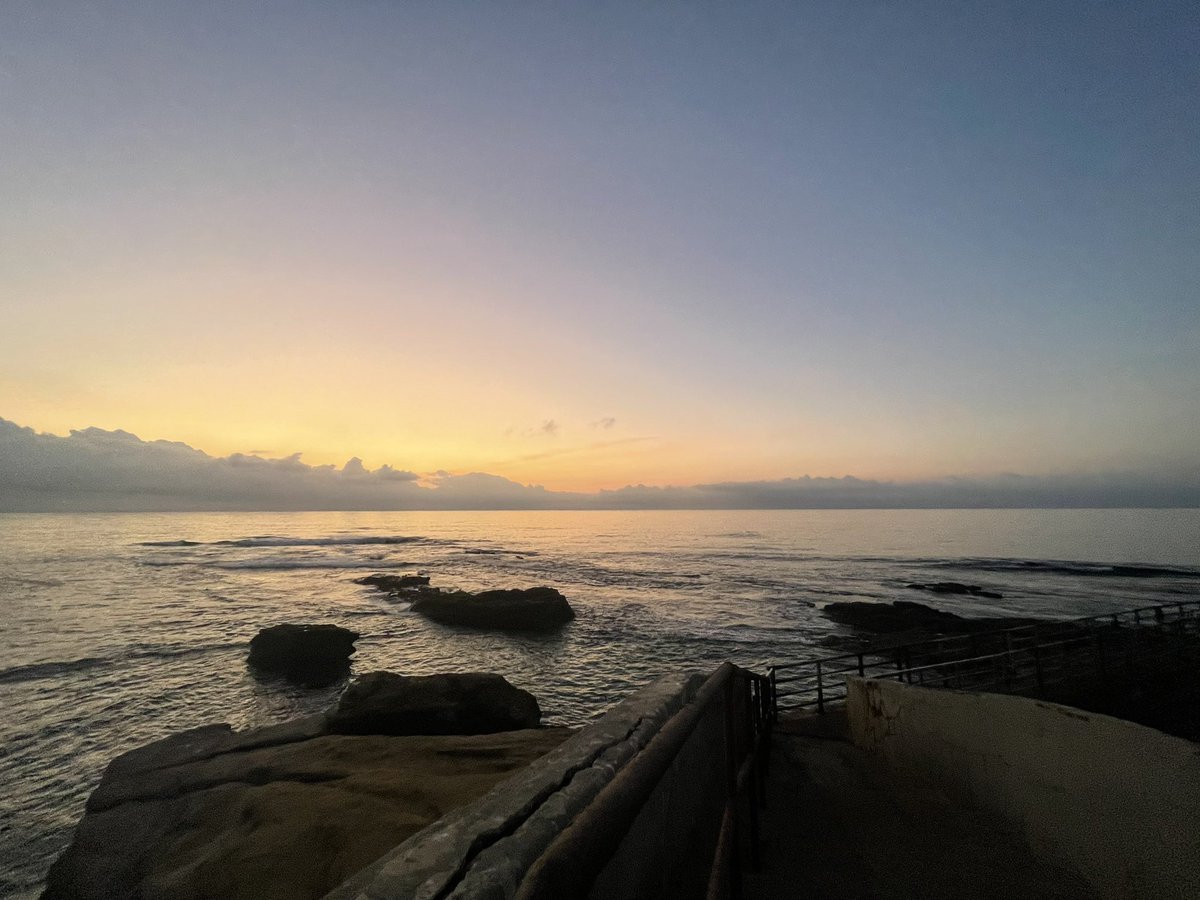 shawn chain tweet media