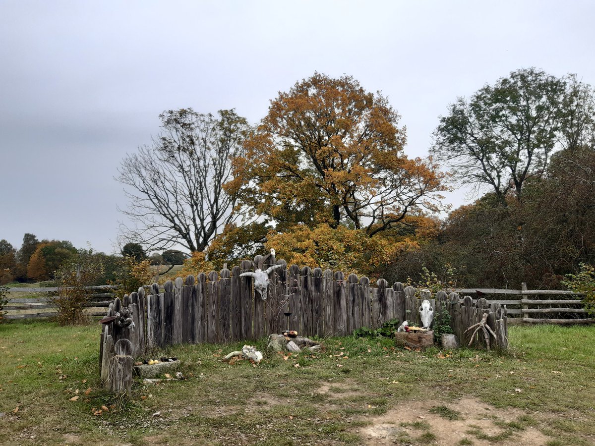 Them: ængin skal affguþum blotæ. ok ængin a lundi ællr stenæ troæ.

Us: