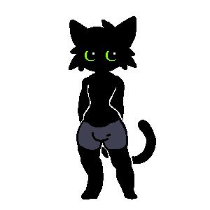 DragonSnow4's tweet photo. 🐈‍⬛🩳 https://t.co/W49j83Np9A