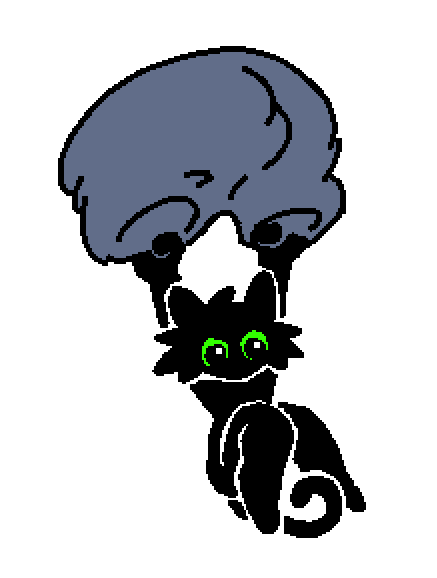 DragonSnow4's tweet photo. 🐈‍⬛🩳 https://t.co/W49j83Np9A