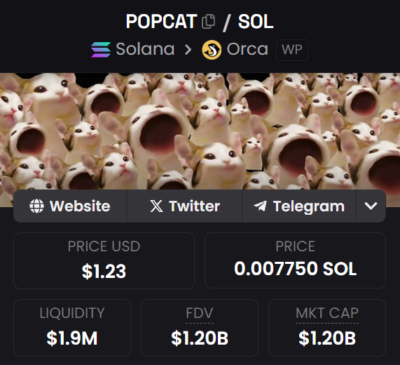 0xChainMind's tweet photo. I called $POPCAT before 60x: $21M → $1.3B mc
I called $ANALOS before 285x: $700k → $200M mc
I called  $BRETT before 19x: $100M → $1.9B mc
I called  $MYRO before 18x: $24M → $450M mc
I called  $PONKE before 10x: $34M → $340M mc

Many of my followers have already made their 1st $million this cycle, and many more will

Will send my current 100x plays to a few who like, reply, and rt this tweet 👇