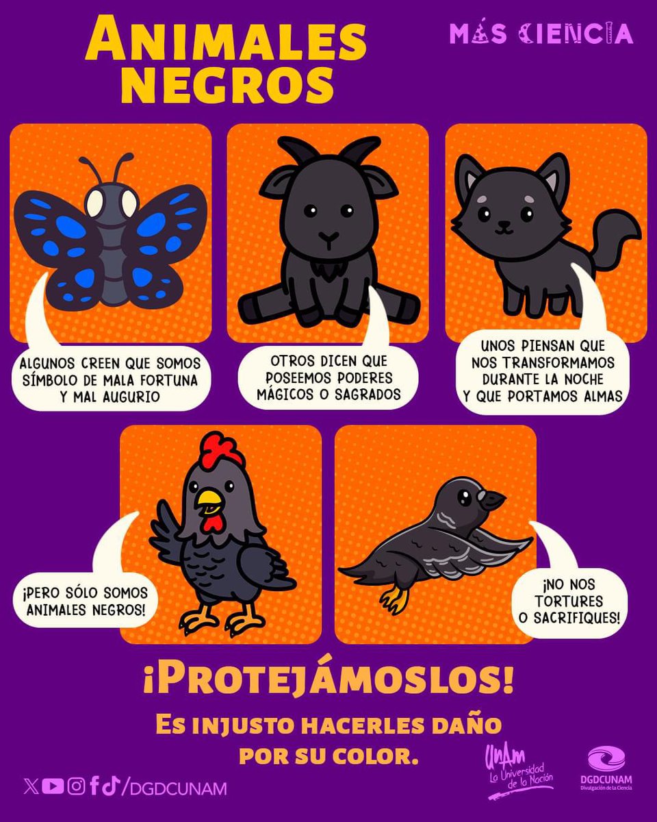 Divulgación de la Ciencia, UNAM tweet media