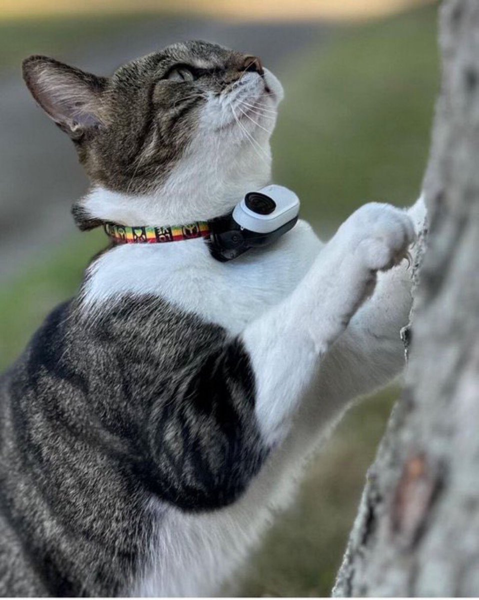 ameerempiree's tweet photo. @100xAltcoinGems All you need is #kitters
GpKUvQfGPVhMM62e3aCcBe6tUcVqHXjLK45WySdq5dJf https://t.co/QofRAVAcf8
