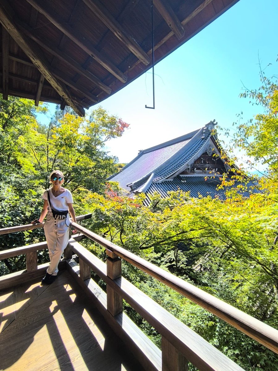 AneAndiko's tweet photo. Iroiro arigato gozaimashita ⛩️🦊🌳🍁🪷🗼🌃 https://t.co/uIaJsjYAm0