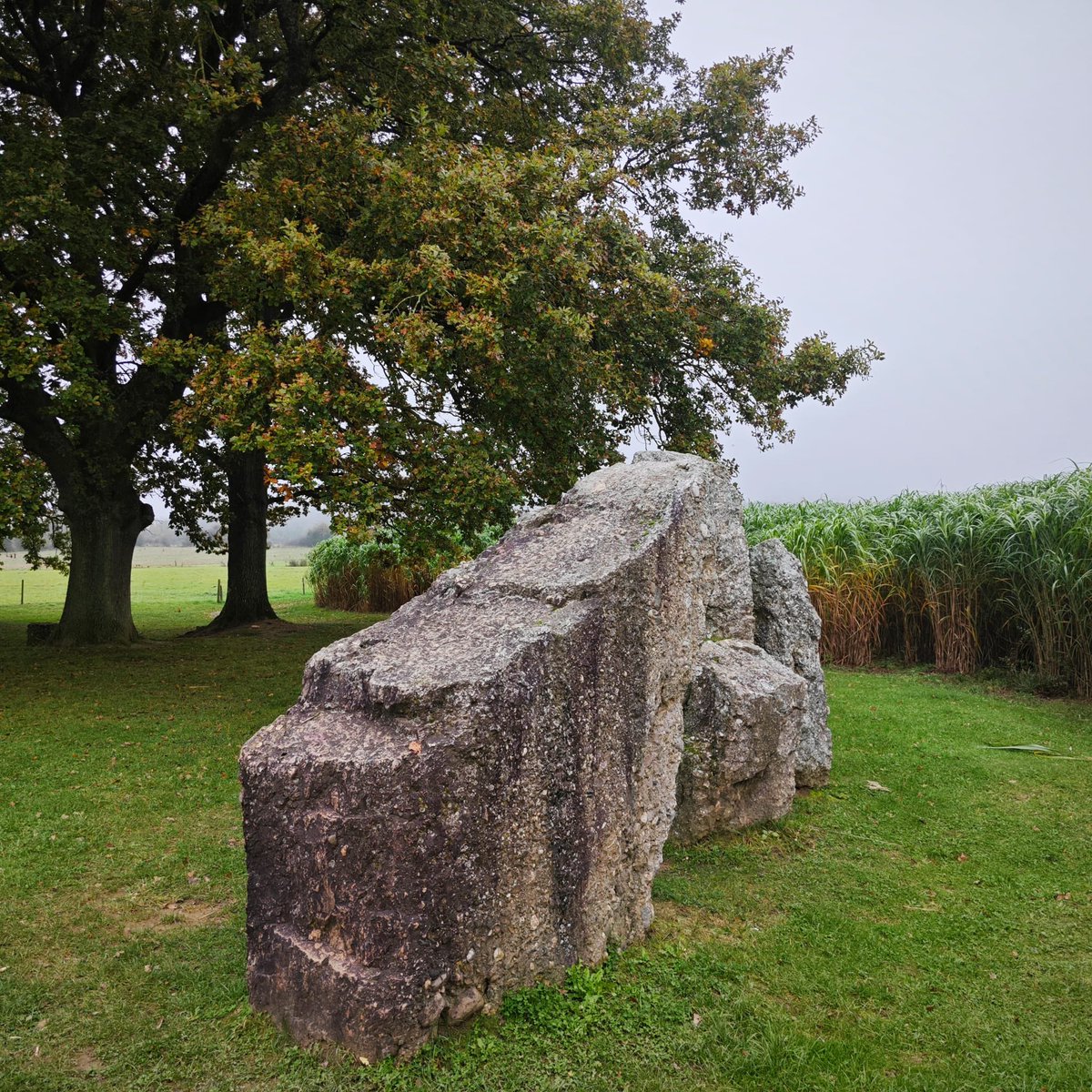 ApolloCAT_SOL's tweet photo. Touch some stones this weekend. https://t.co/qLk5RjiuR5