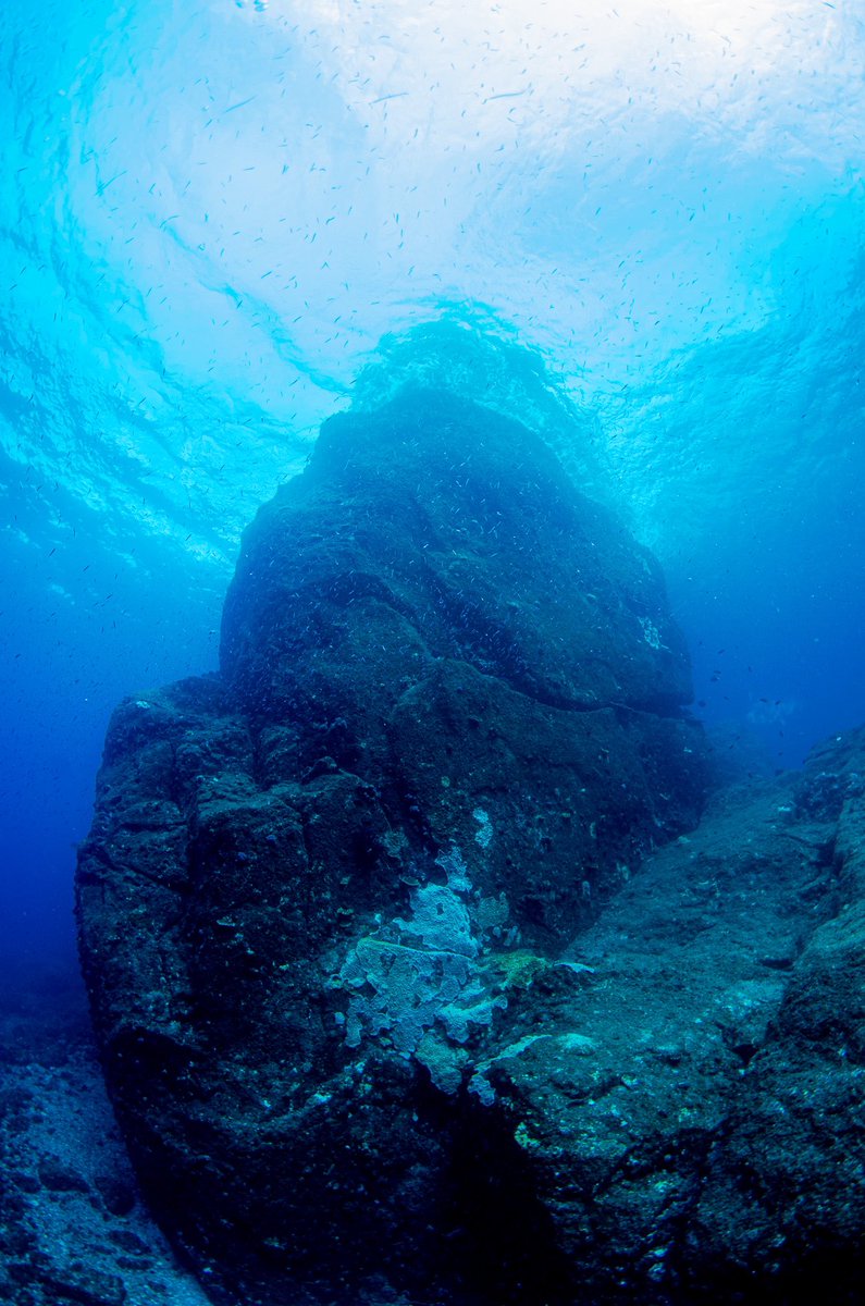 dive_kroon's tweet image. 「ダイバー目線」なら普通の写真ですが、
「釣り人目線」ならどう映るんでしょうか？
しかもそこが釣りポイントだとしたら。
磯釣りの聖地「鵜来島」の水中写真。
1枚目は　親指
2枚目は　水源地バナ
3枚目は　東のハナ
⚠️もちろん釣り人がいない時に撮っています。#磯釣り#釣り