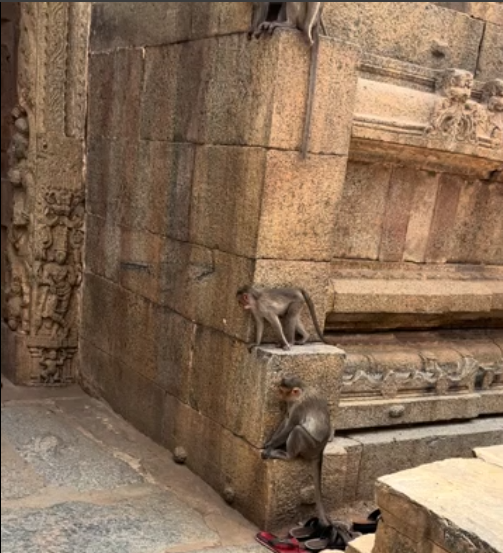 #nuboftheday Bhoganandiswara Temple