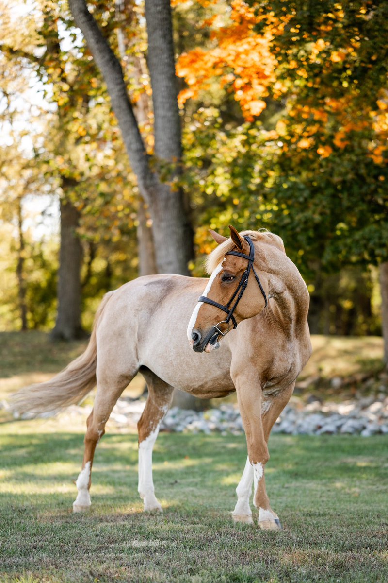 Kate Kosnoff tweet media