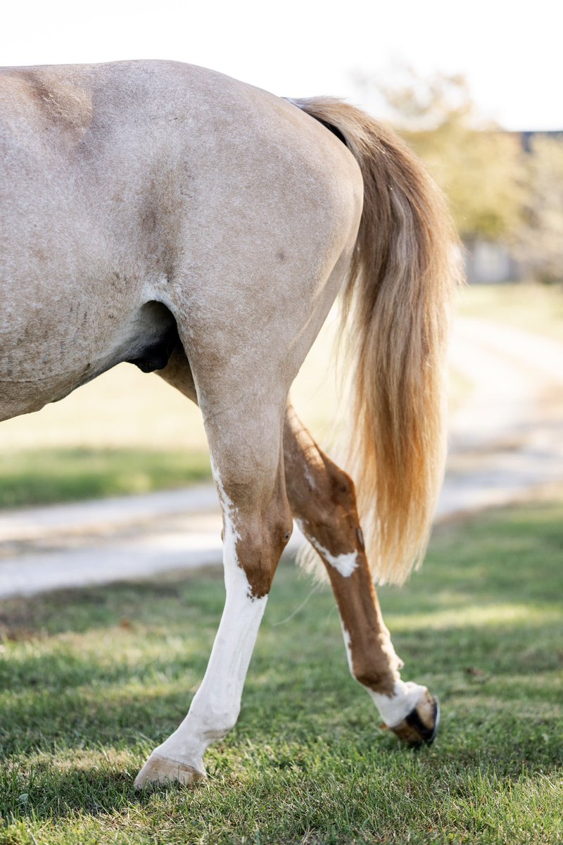 Kate Kosnoff tweet media