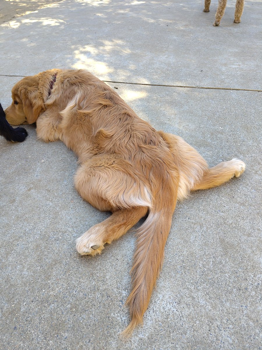Why he sit like this?