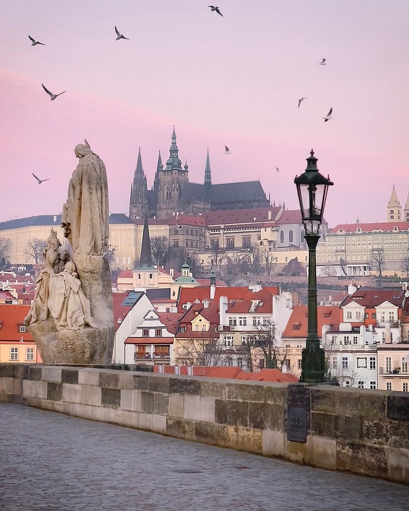 archi_tradition's tweet photo. Everyone should experience Prague at least once in their lifetime.

📸: Agi Noszek https://t.co/1yPmcf30az