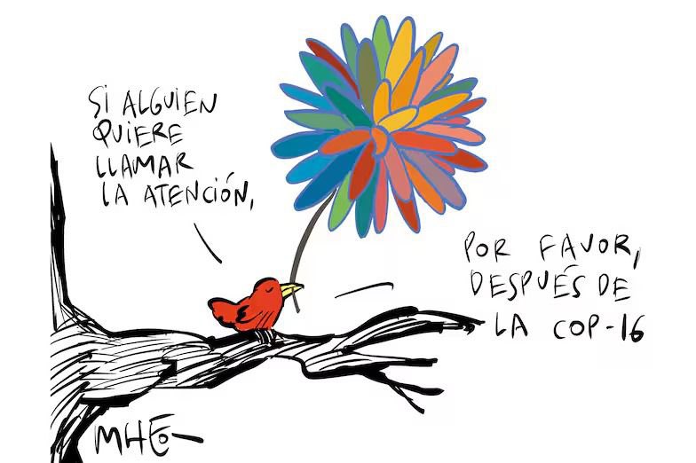 alejoeder's tweet photo. ¡La protección de la biodiversidad debe unirnos a todos! Esta es la oportunidad de demostrar que en medio de las diferencias, somos capaces de identificar propósitos superiores, para dejar en alto a Cali y a Colombia. 

#COP16Colombia #VivíLaCOP16 https://t.co/3aFc2x5luz