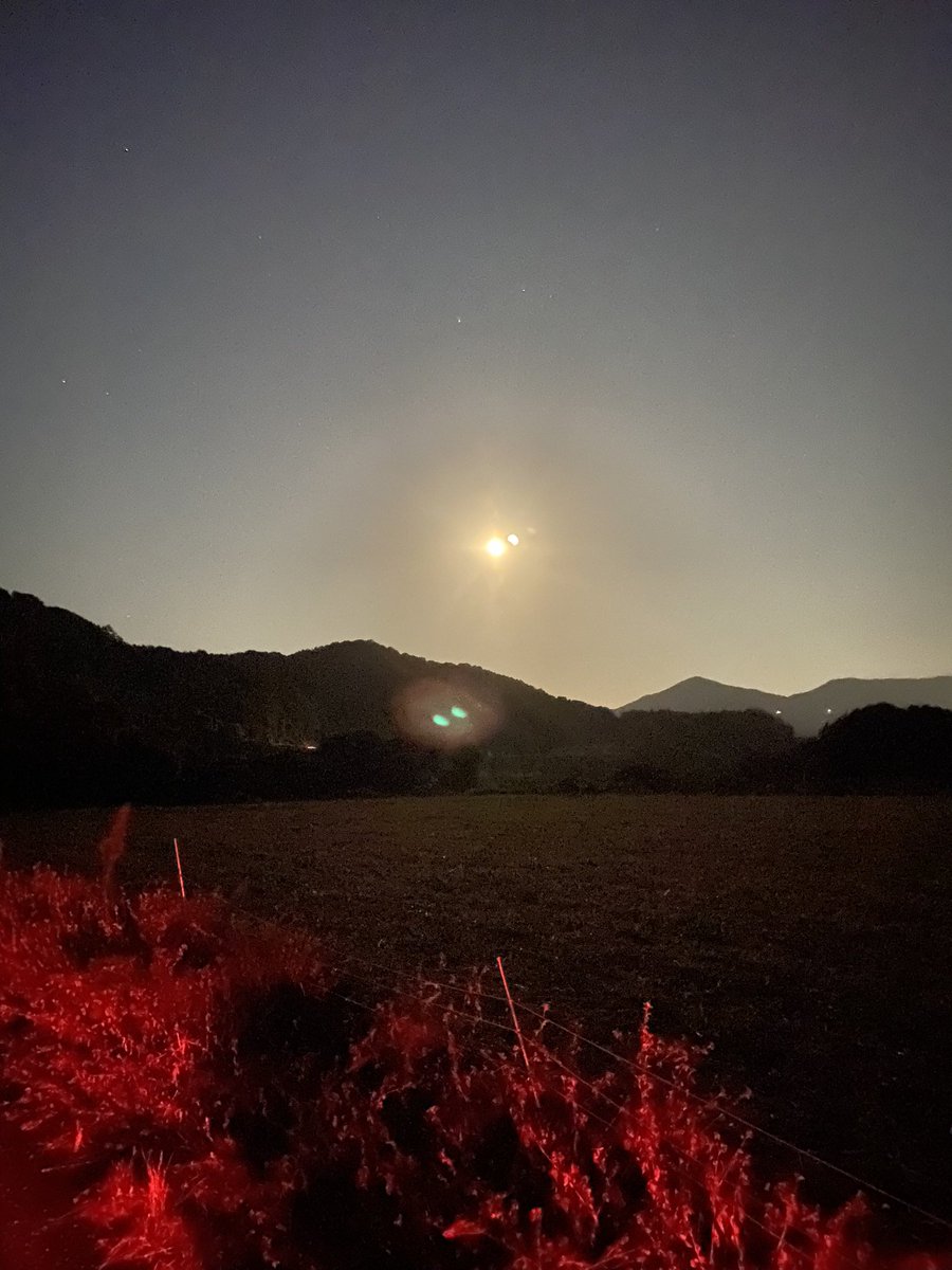 Drsatuki's tweet image. 事務職でAIの進化に驚き中!
食と健康
オーガニック農業も応援♪
音楽好き🎶
防災対策
占い🔯🔮
神社やパワスポ巡りも大好き⛩
行きたいところあり🩷
AIや農業について発信します♪