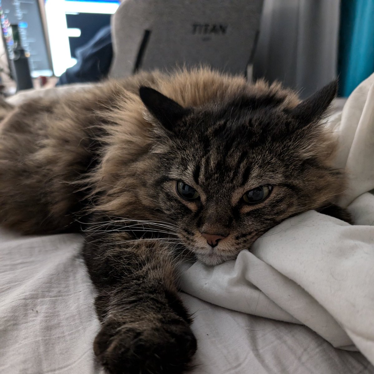 #NewProfilePic