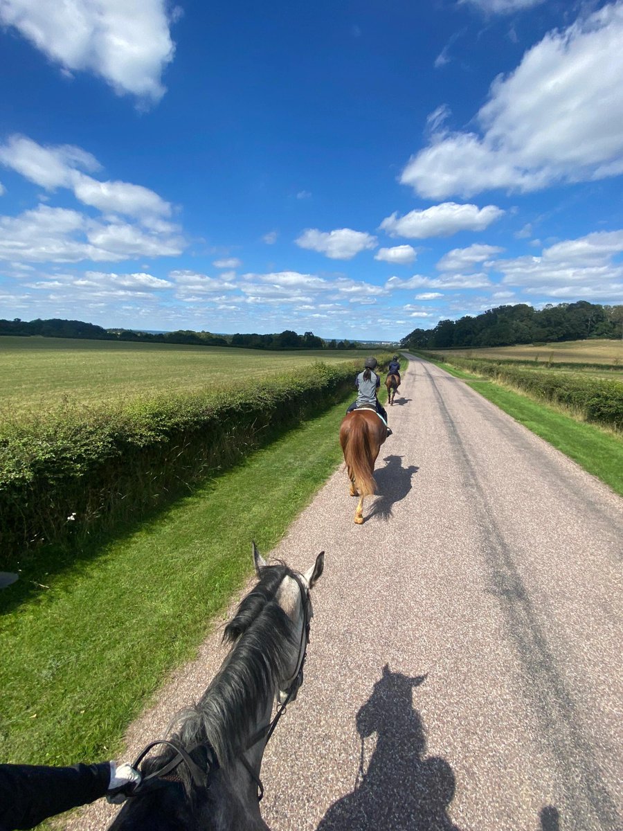 CollinsOdwuor's tweet photo. I went horseback riding in Richmond Park watching deer. Happy Sunday! 🐴🦌🏞 https://t.co/zntbmiQ4ct