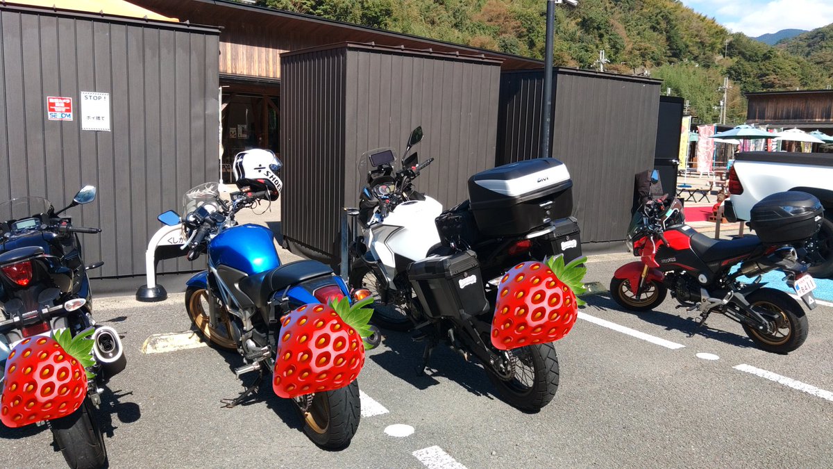 リボンちゃん Gx9AuV-bwAAj3E5.jpg