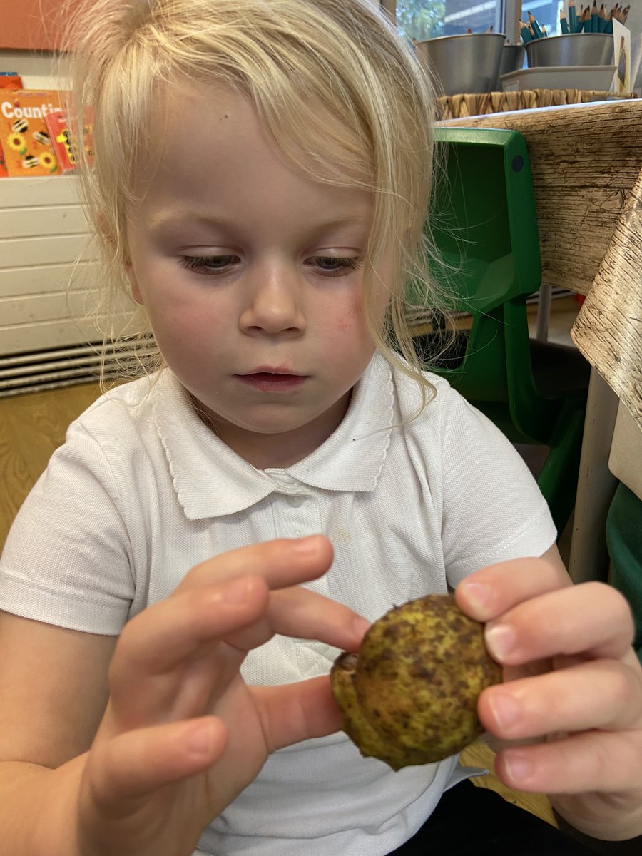 Reception tweet media