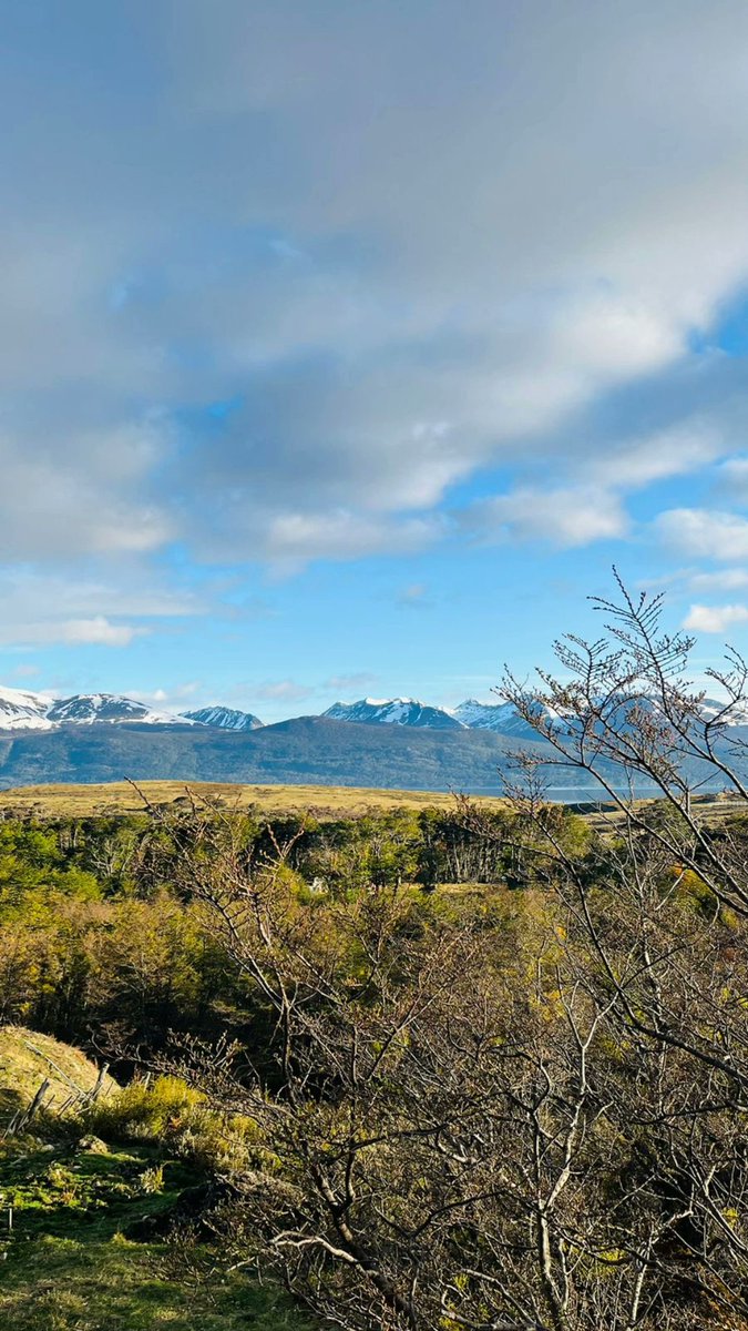 Comenzar todos los días con esta vista del Canal Beagle y Tierra del Fuego 😍