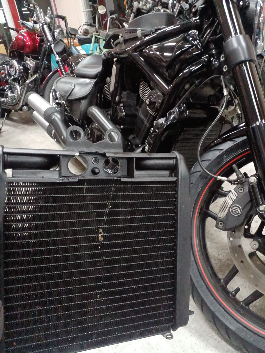 RambleMotorcyc1's tweet photo. VRSCDX ラジエター交換
純正廃盤で社外品に
これで、やっと車検に行けます。
#ramblemotorcycle #四国 #愛媛県 #松山市 #バイク屋 #ハーレー #ハーレーダビッドソン #vrscdx https://t.co/9pSfoIaFi3