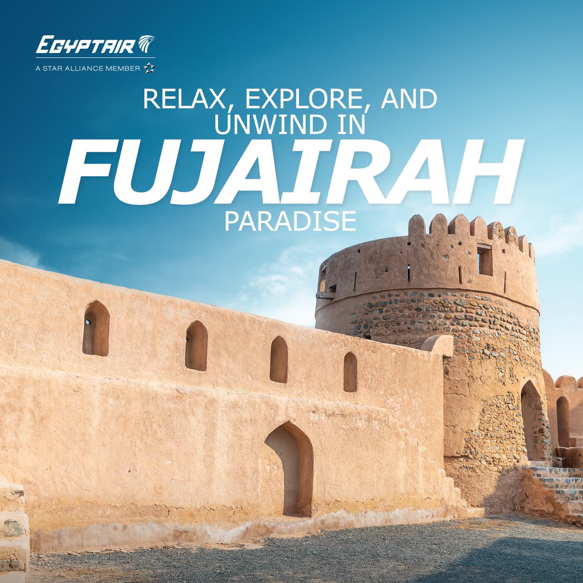 EGYPTAIR tweet media