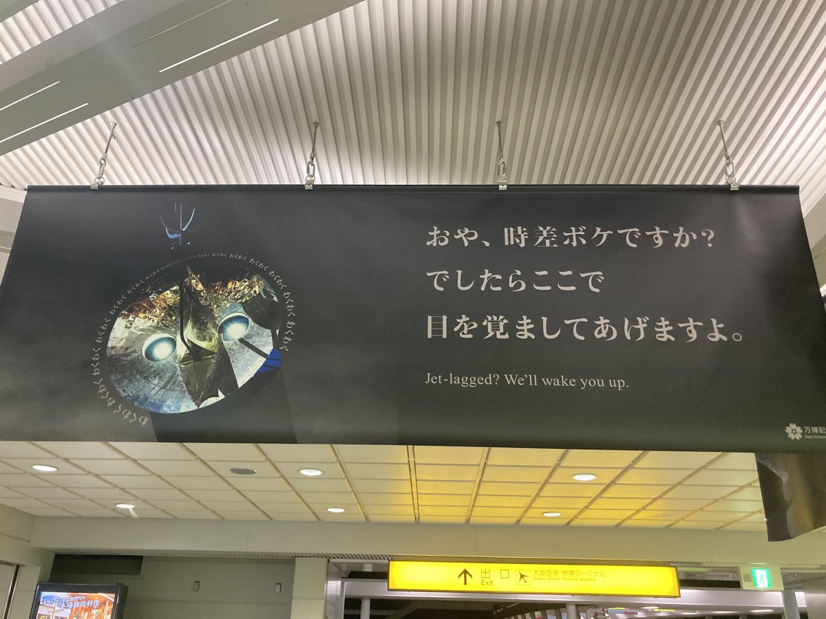お前は何する気なんだよ