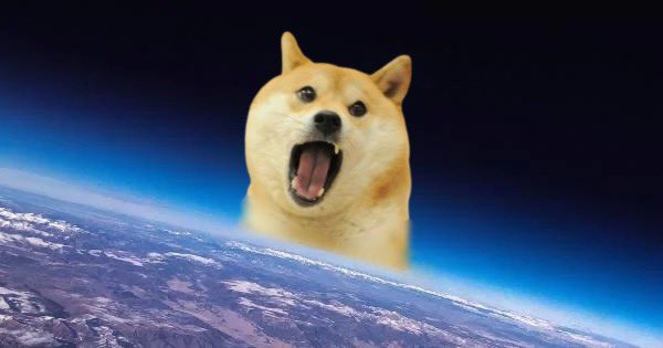 We’re not here to take part, we’re here to take over.

#dogecoin #memecoins