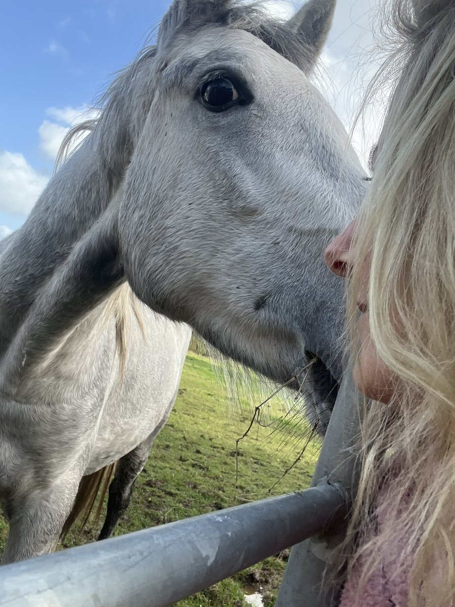 Love  the warm breath and smell from a horses muzzle just before they try out my hair for fodder ….  #Connemara  #ponies #sundays #horselove #tipperary