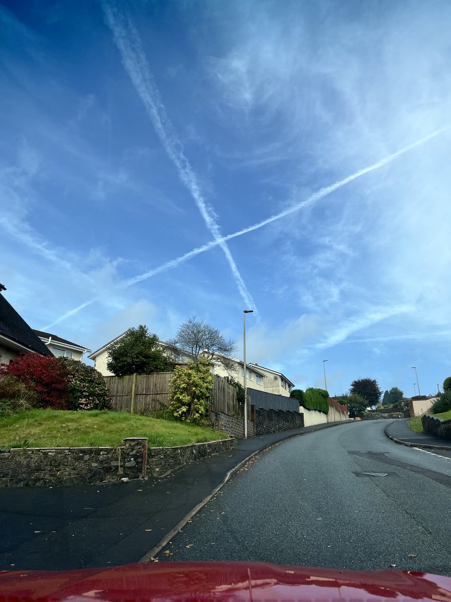 ⁦<a href="/elonmusk/">Elon Musk</a>⁩ sending carmarthen a sign #🪧