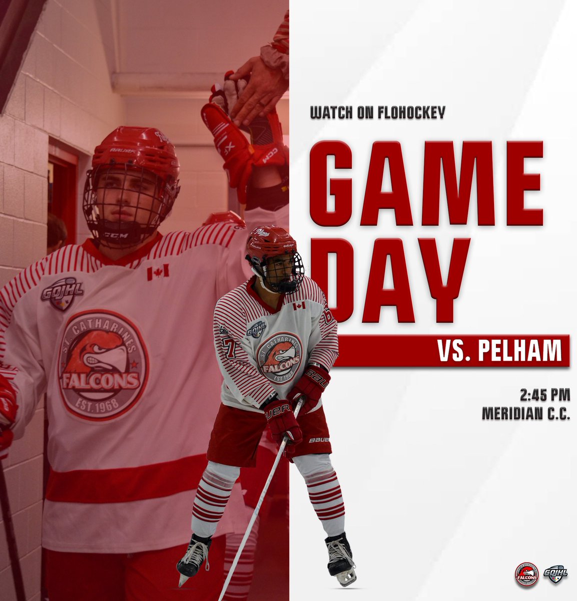 St. Catharines Falcons tweet media