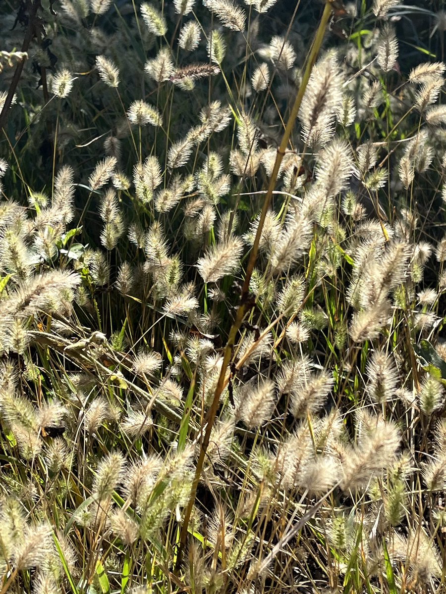 日曜日山&amp;森が良い
頭すっきり🌱