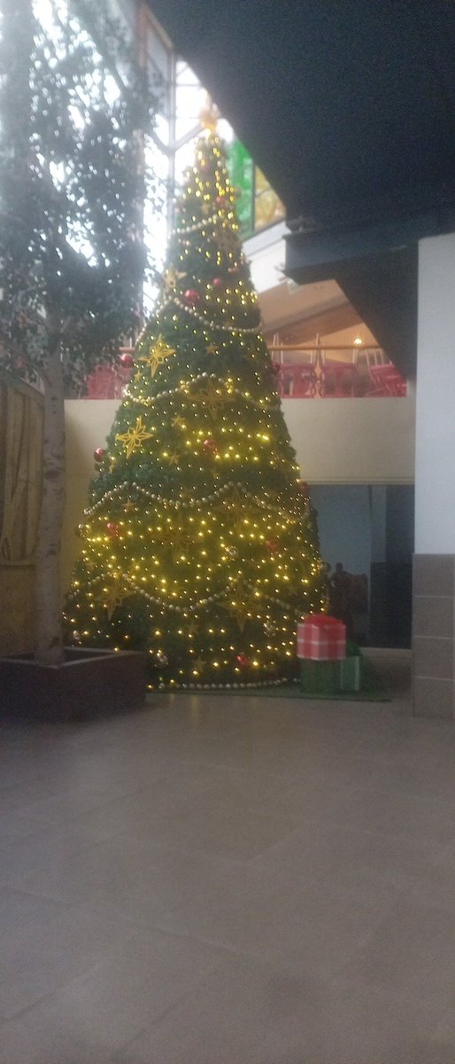 AguileDaniel's tweet photo. @UWeones En el Jumbo de Valdivia, el problema es que después de la Navidad vienen los útiles escolares y uniformes, así llegamos a marzo y nos saltamos las vacaciones 🤣🤣🤣🤣🤣. Ya no habrá verano 😁😁 https://t.co/KHy4n1Q5DA
